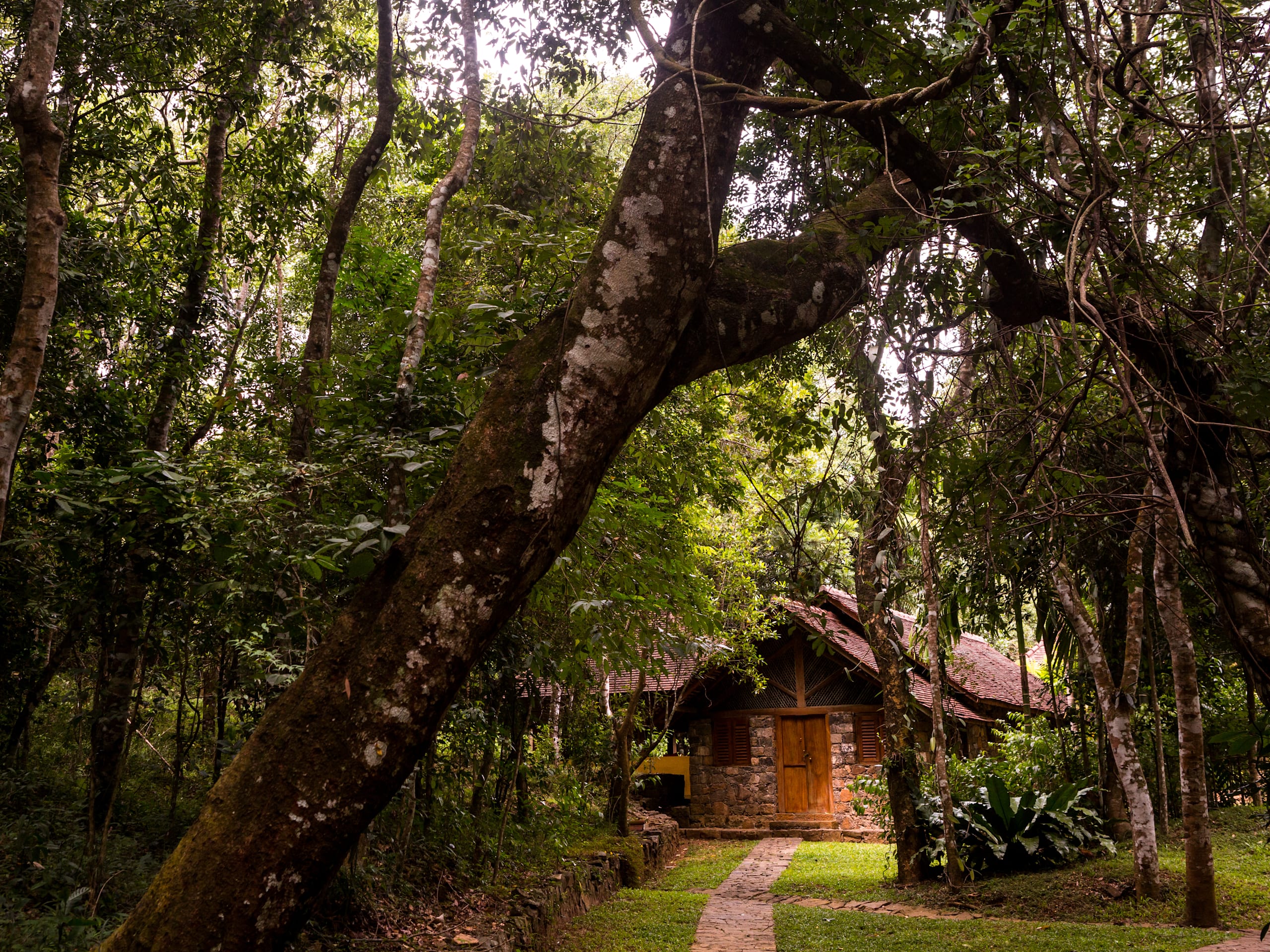 Living Heritage Koslanda