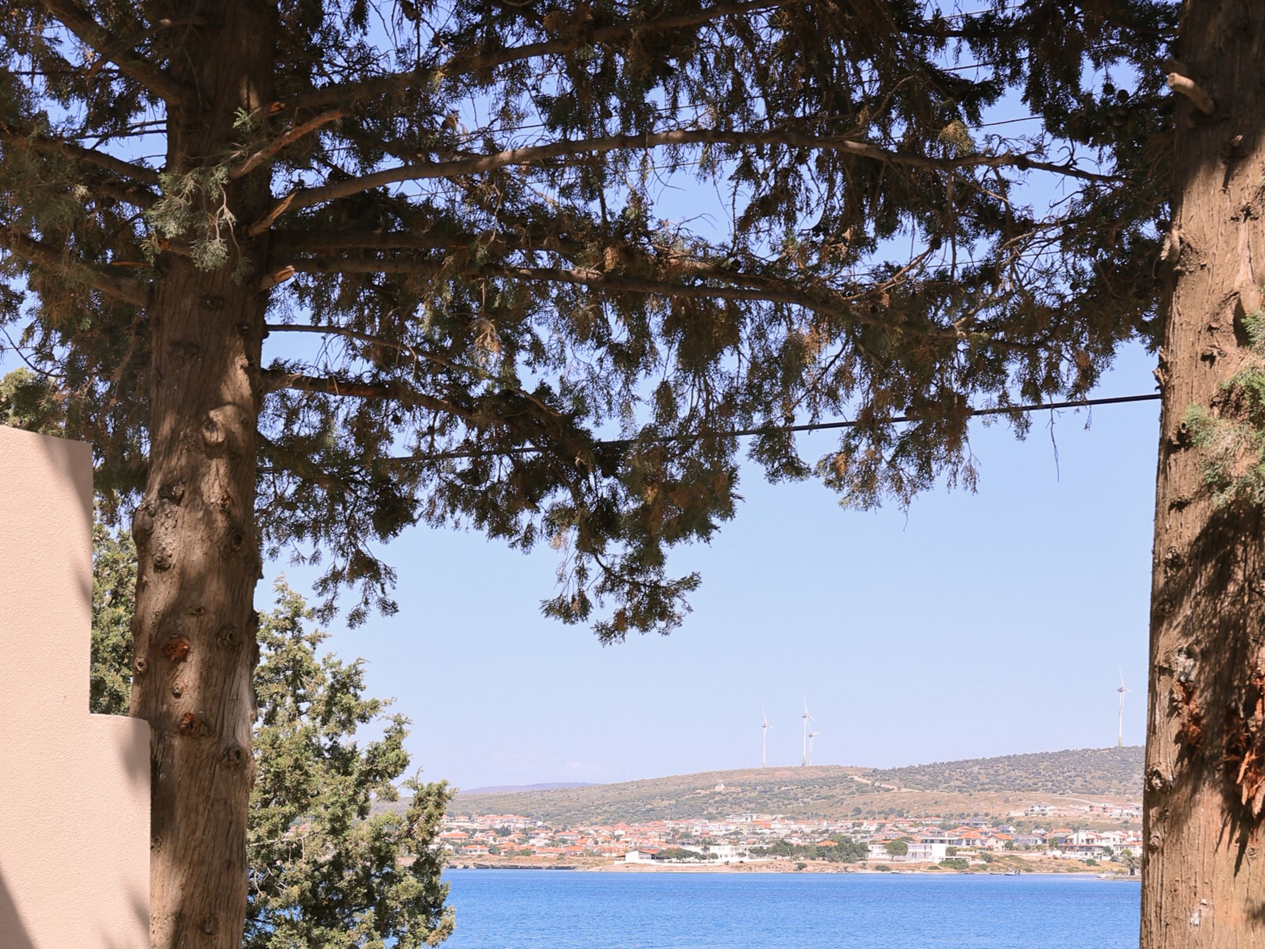 Gaia by the Sea