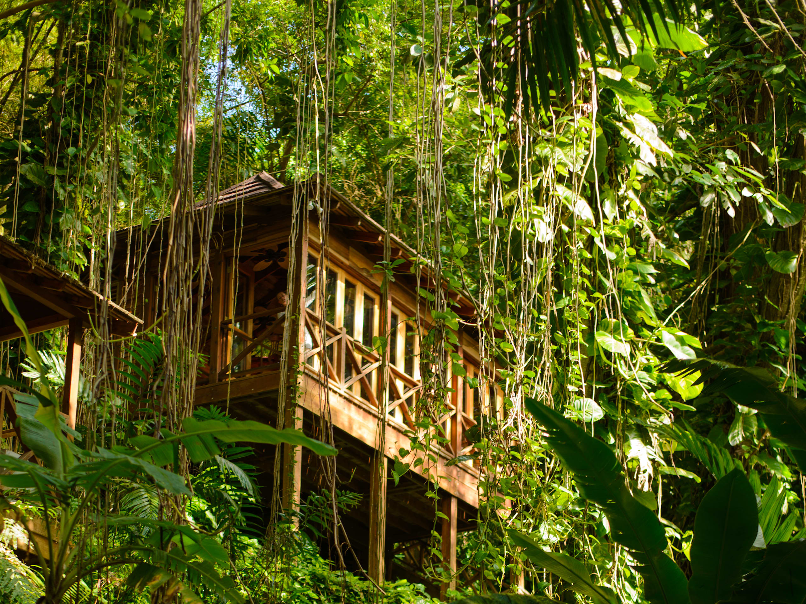 Kanopi House
