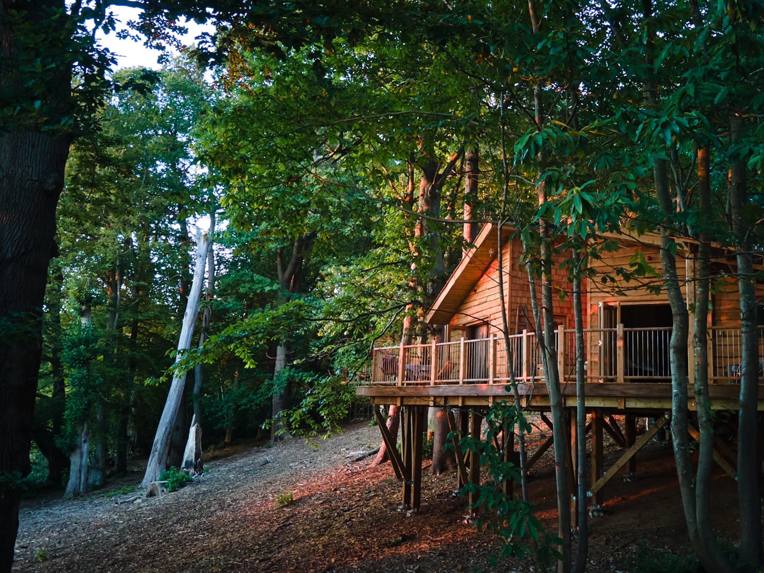 Tree House Retreats 