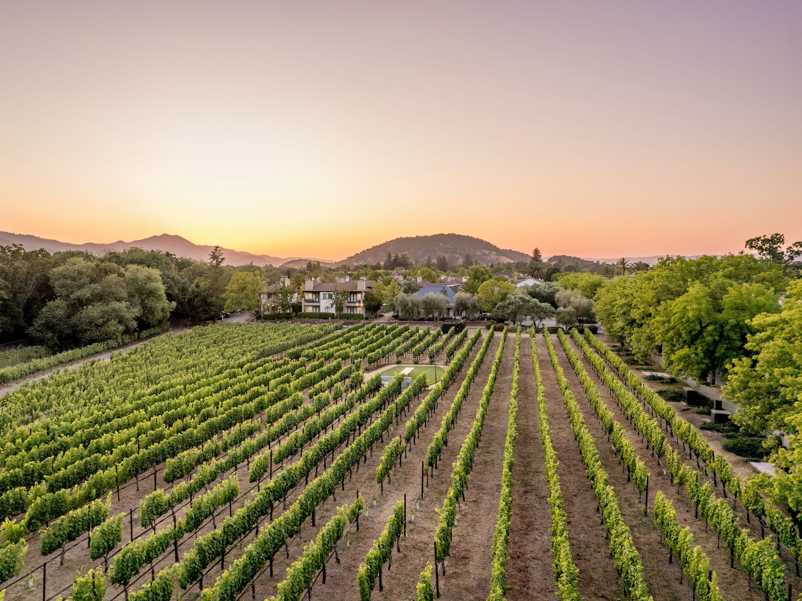 The Estate Yountville