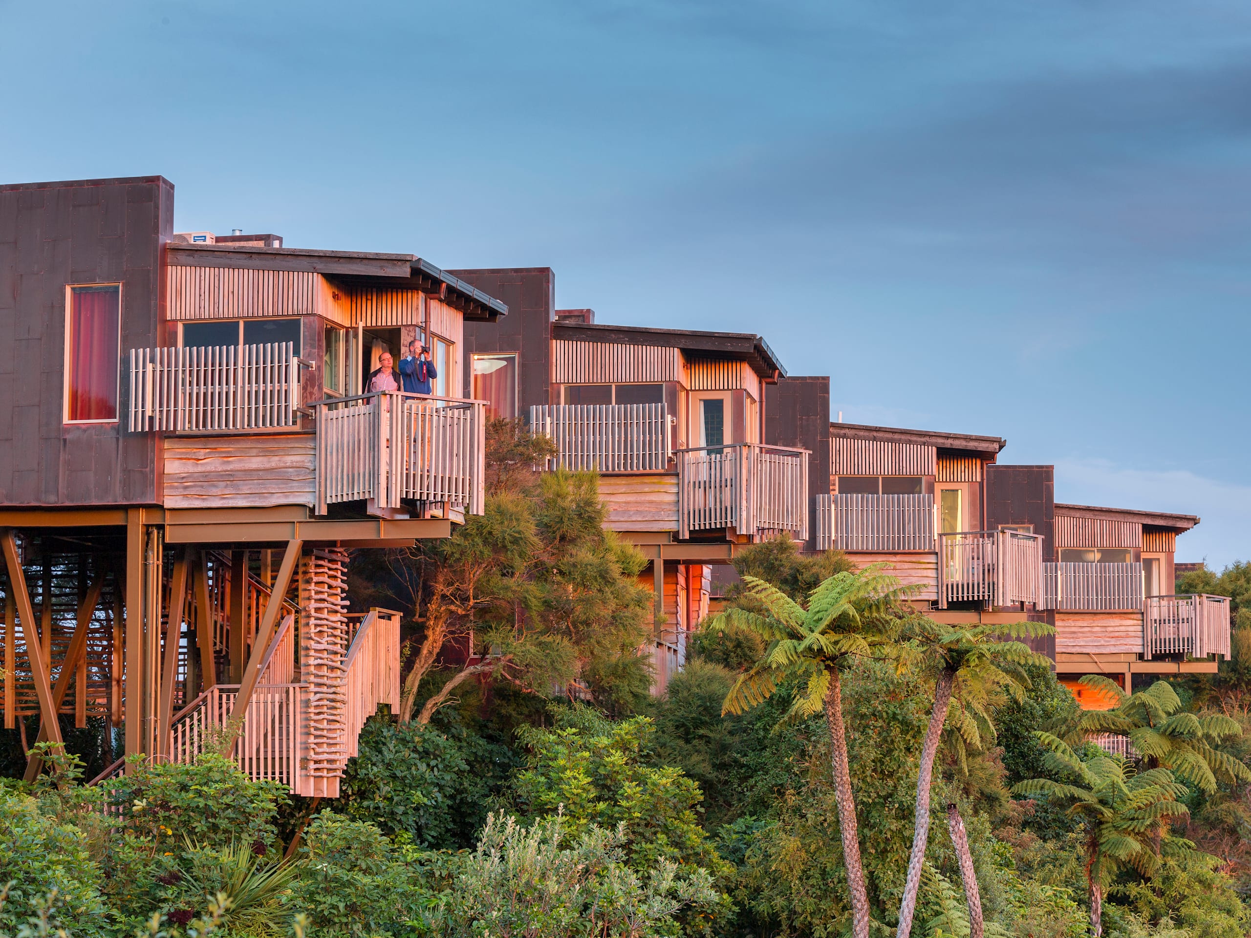 Hapuku Lodge & Tree Houses
