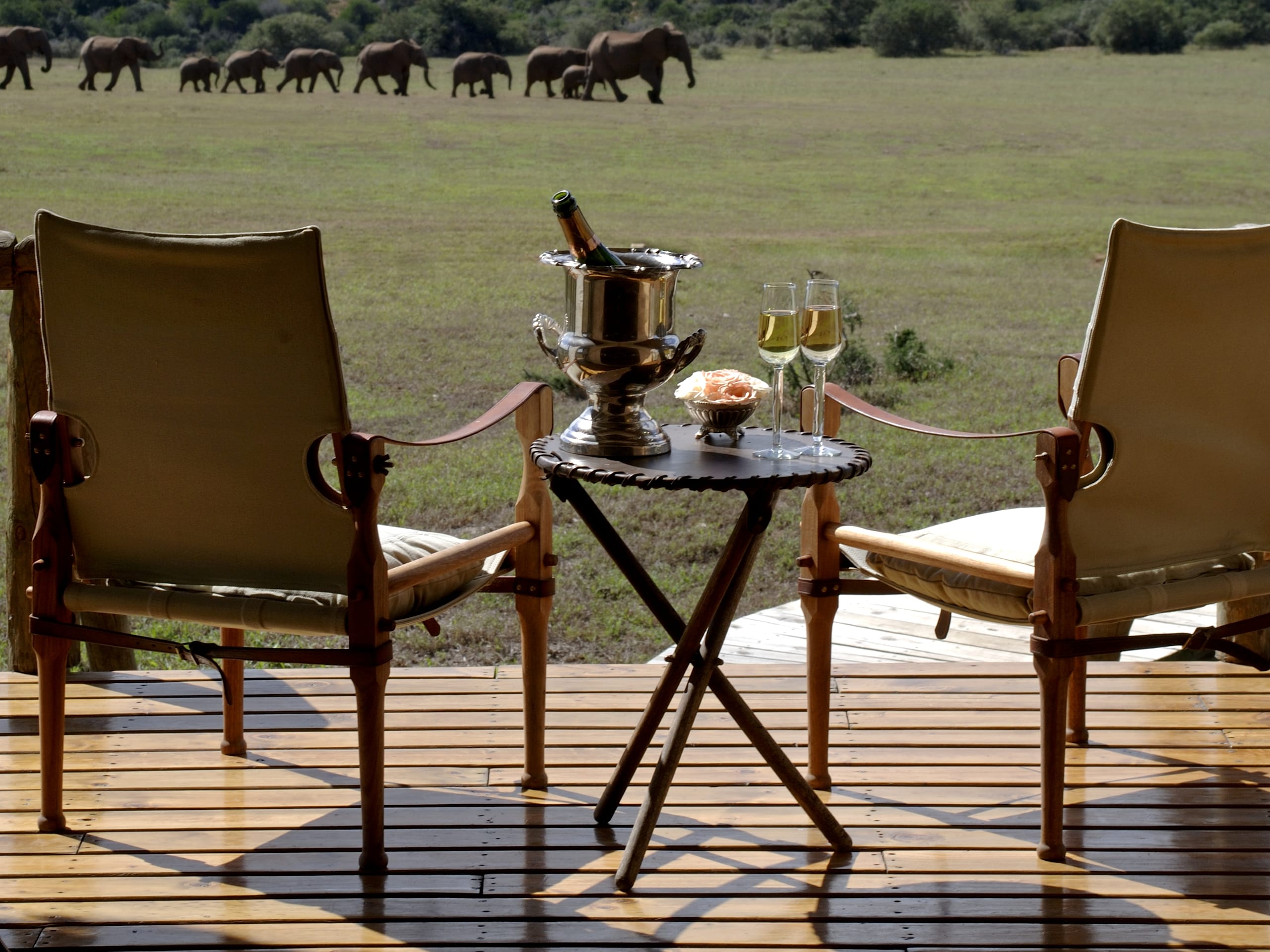 Gorah Elephant Camp
