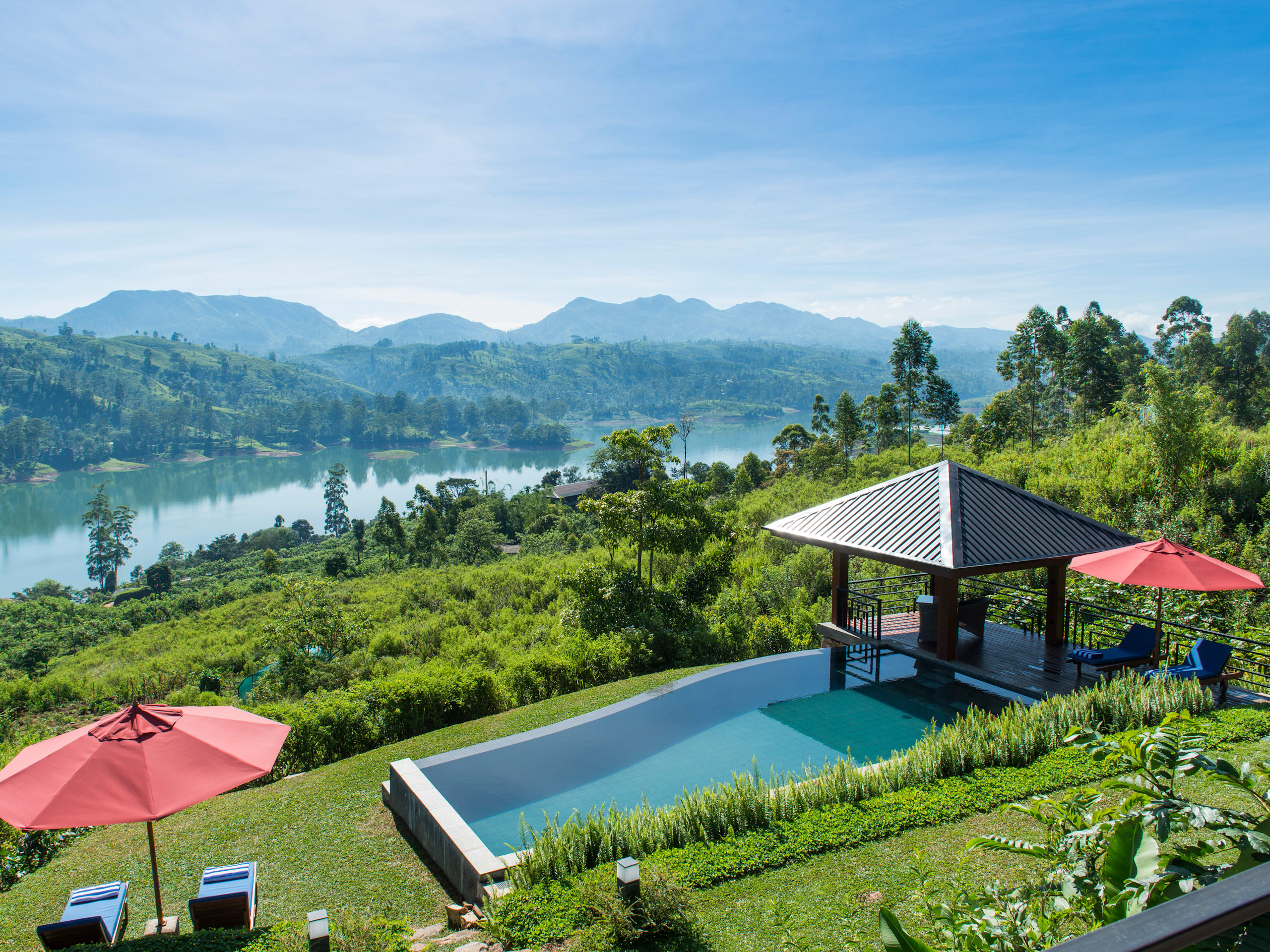 Camellia Hills
