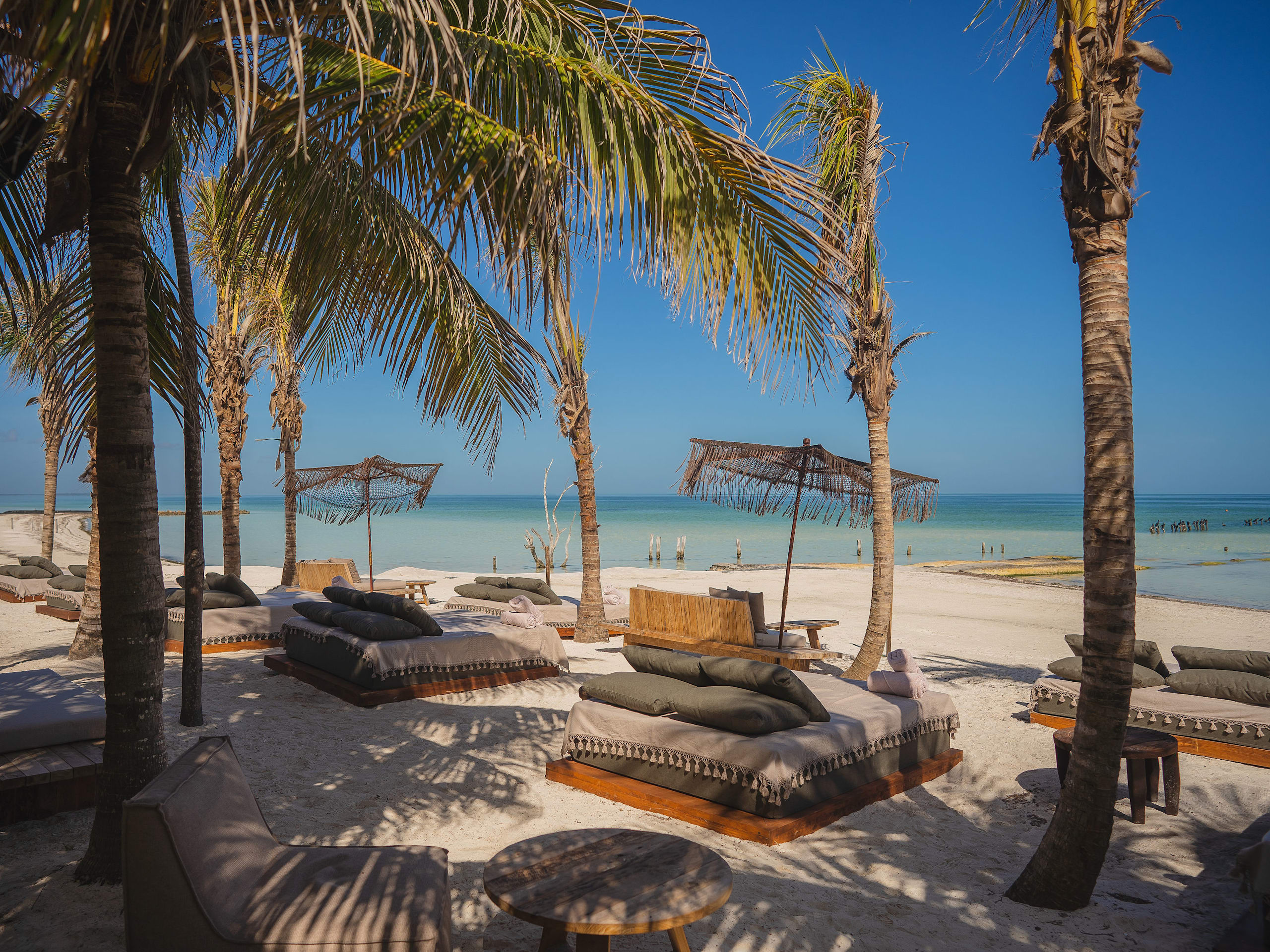 Nomade Holbox