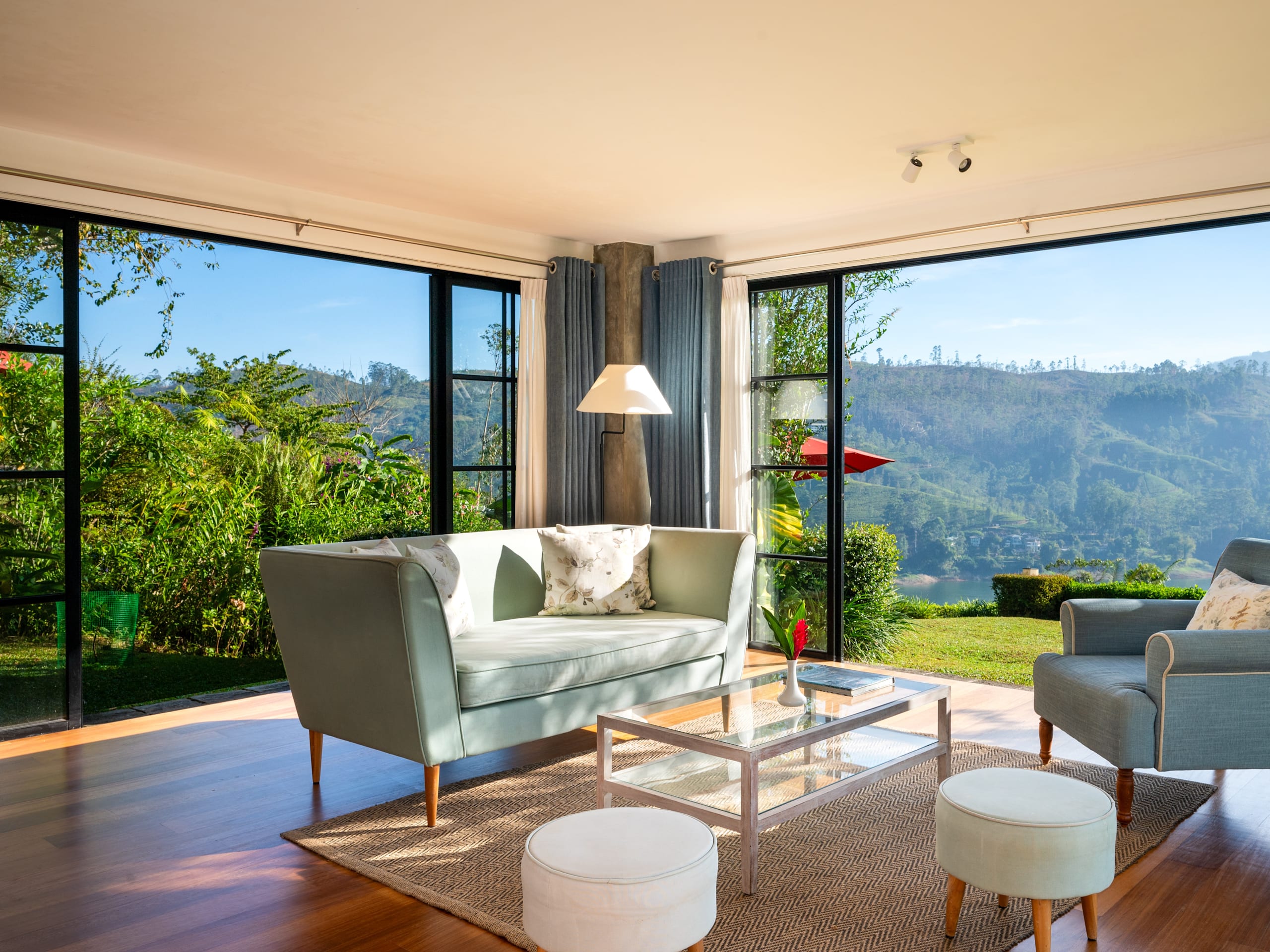 Camellia Hills