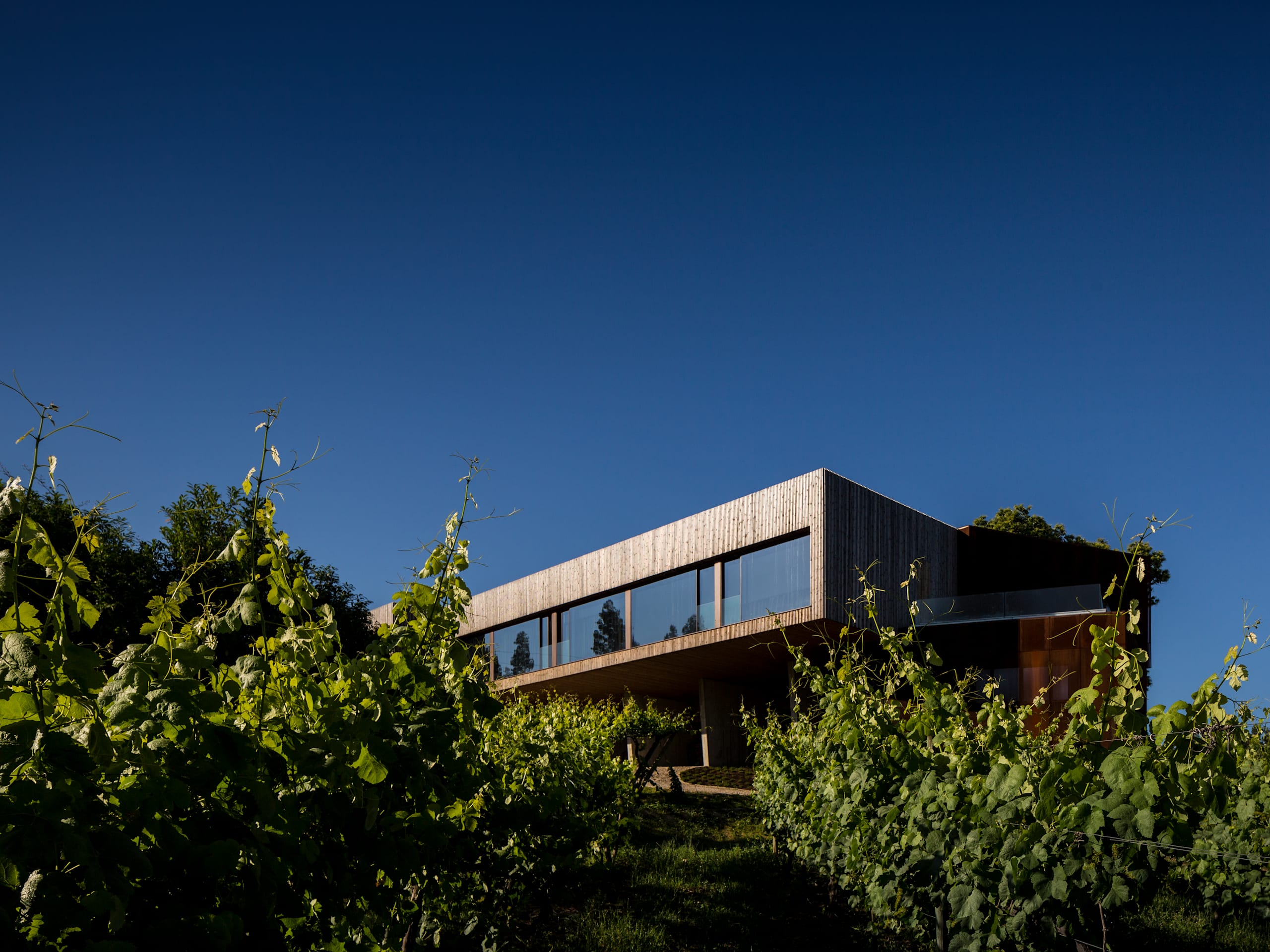Monverde Wine Experience Hotel