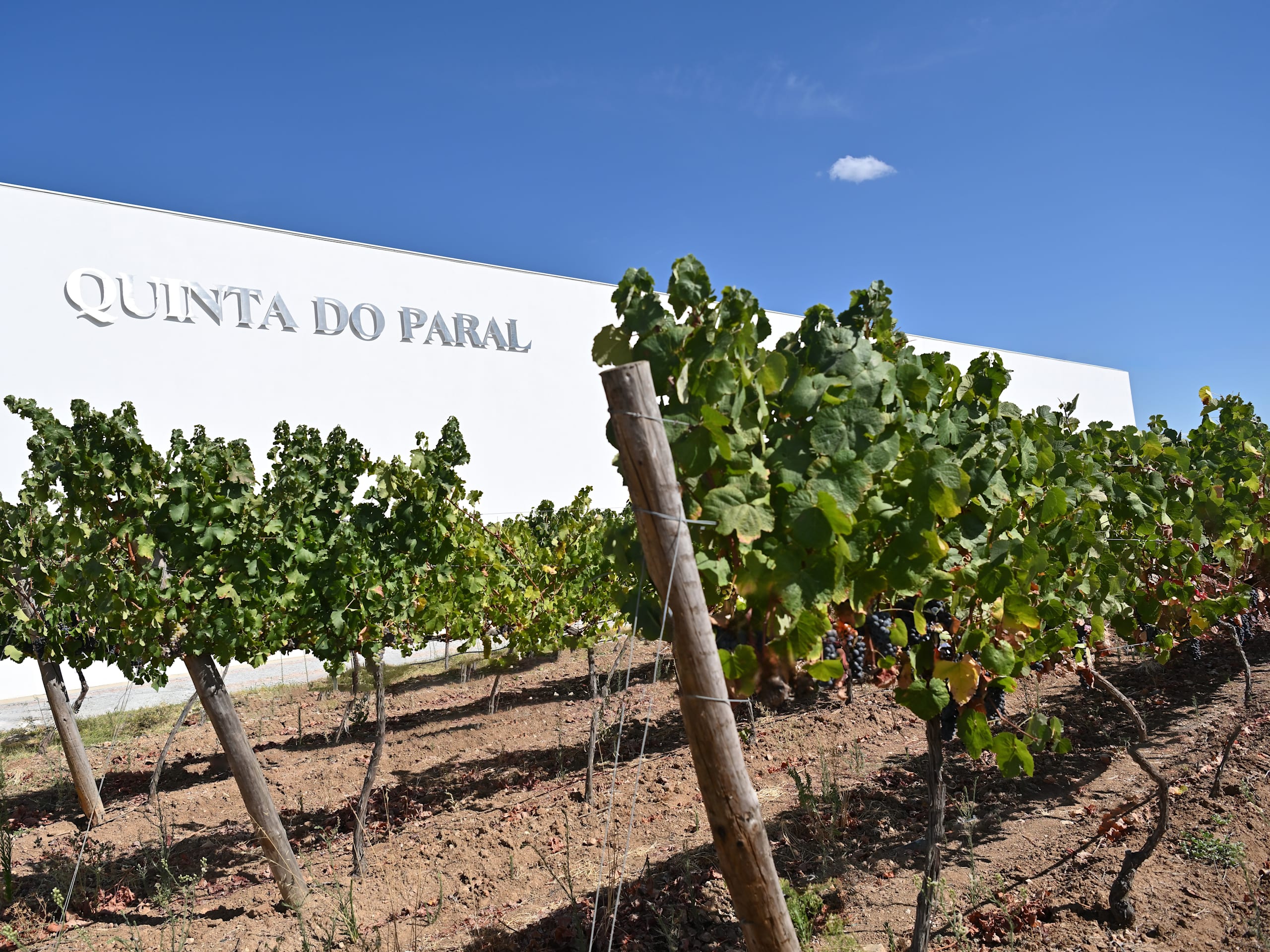 Quinta do Paral