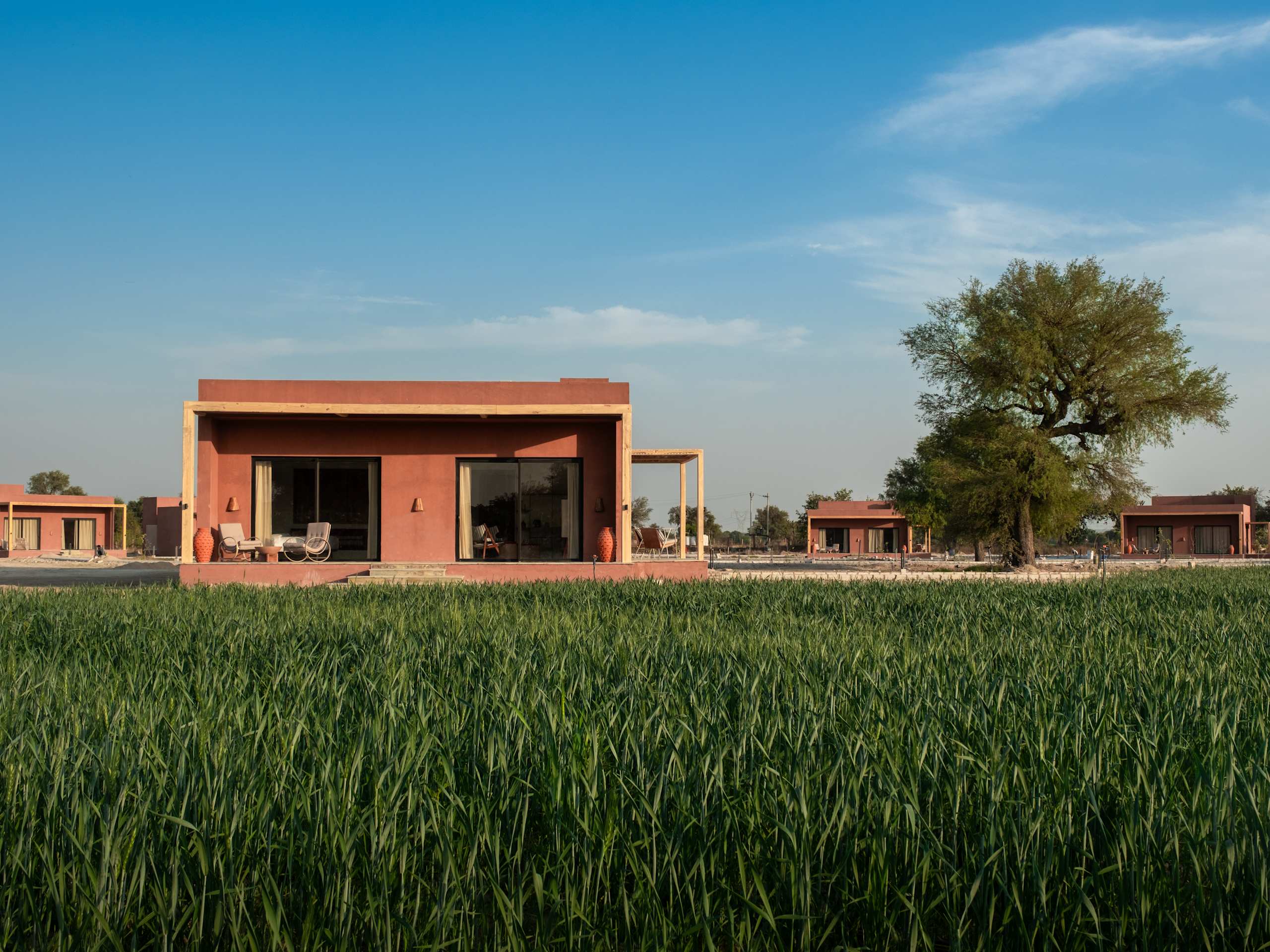 Mharo Khet