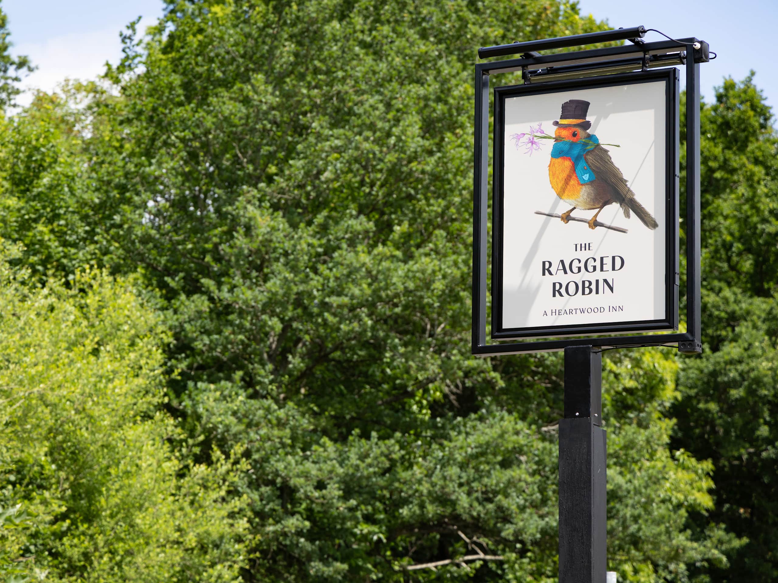 The Ragged Robin