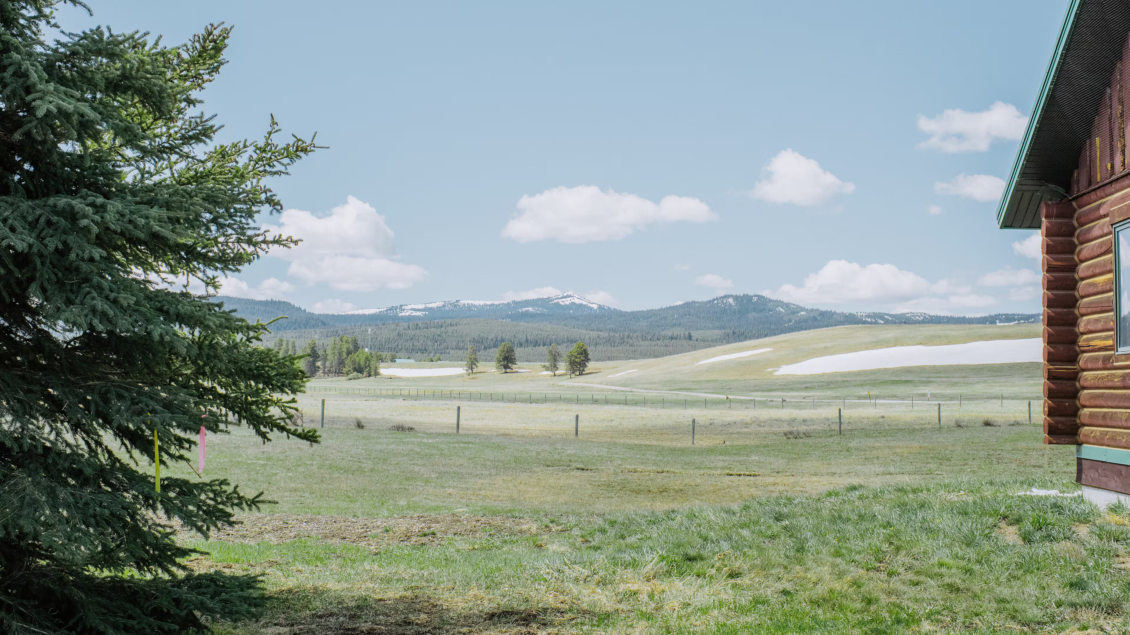 Hamill Ranch Gallery