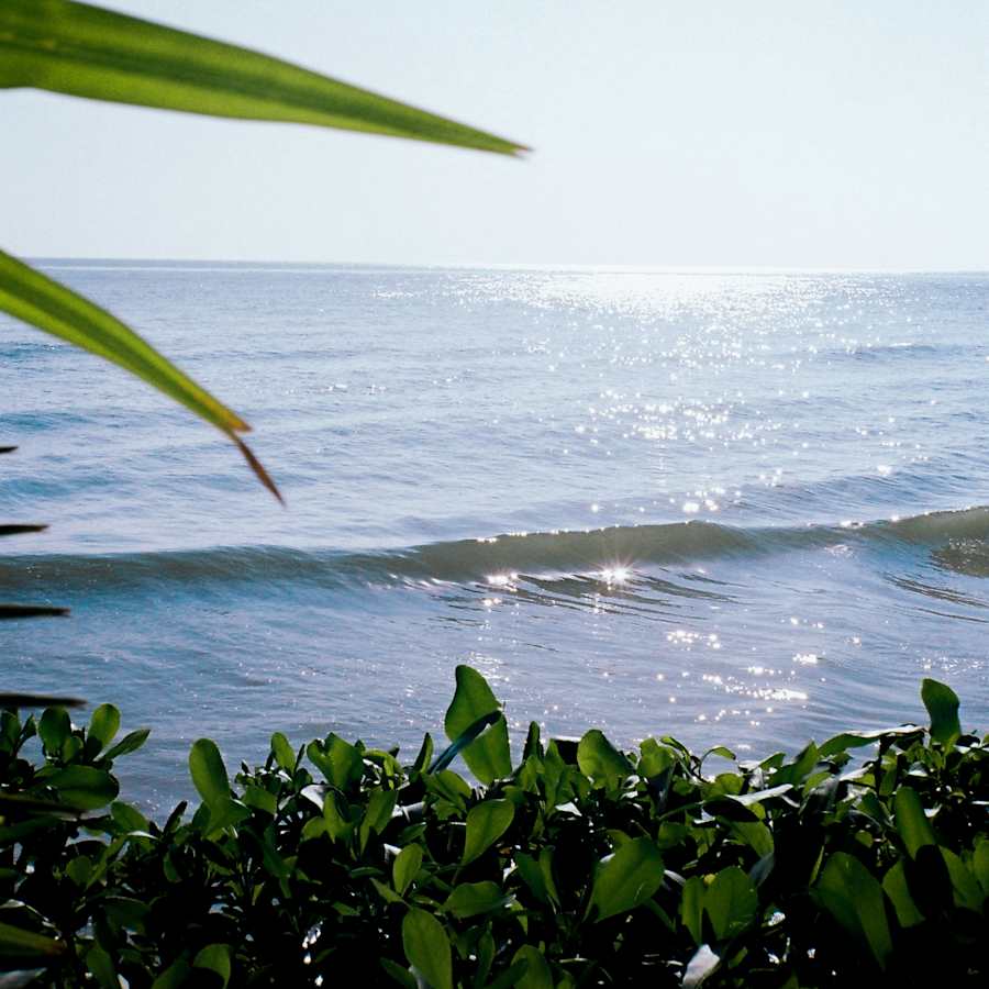 Beach and coastal hotels