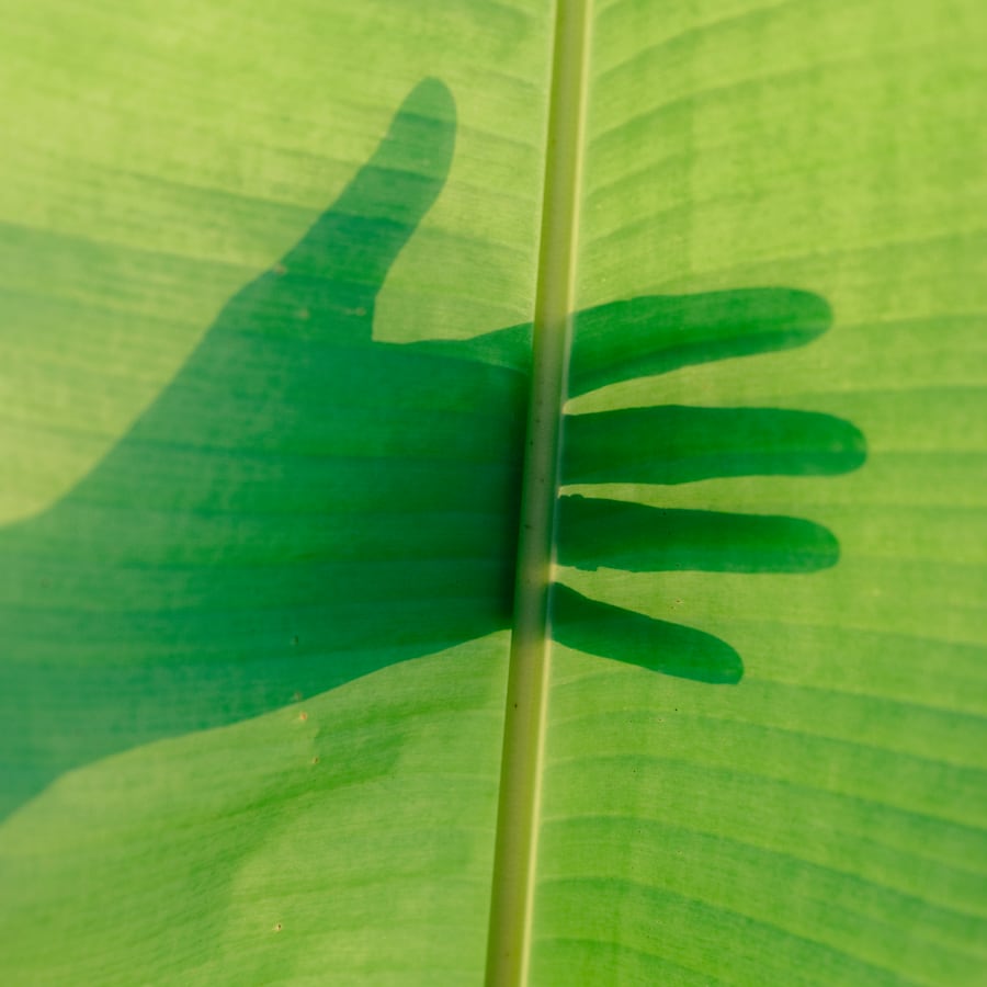 Hotels with sustainability initiatives