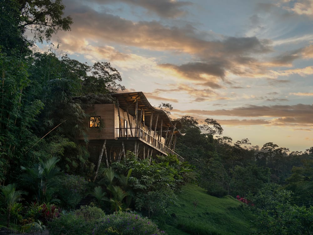 Hotel exterior in the jungle