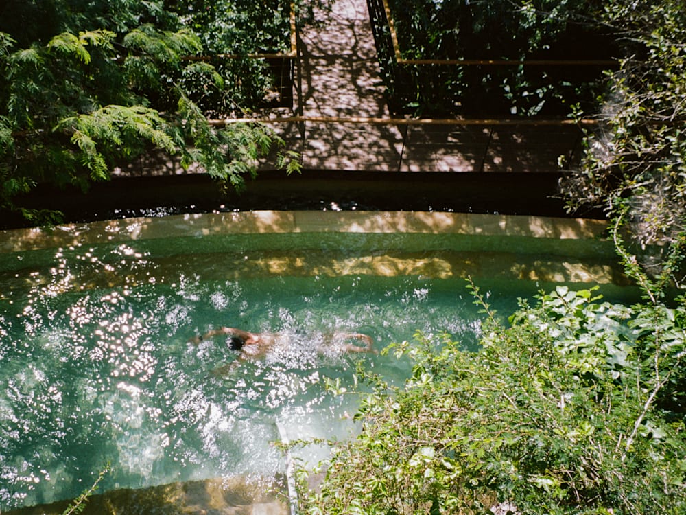 A birds-eye-view image of a person swimming in a pool, surrounded by trees and a walkway.