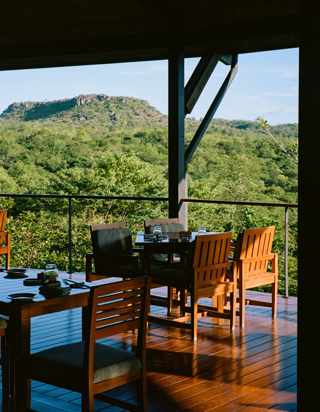 Wooden tables in a restaurant overlooking the treetops of a forest.